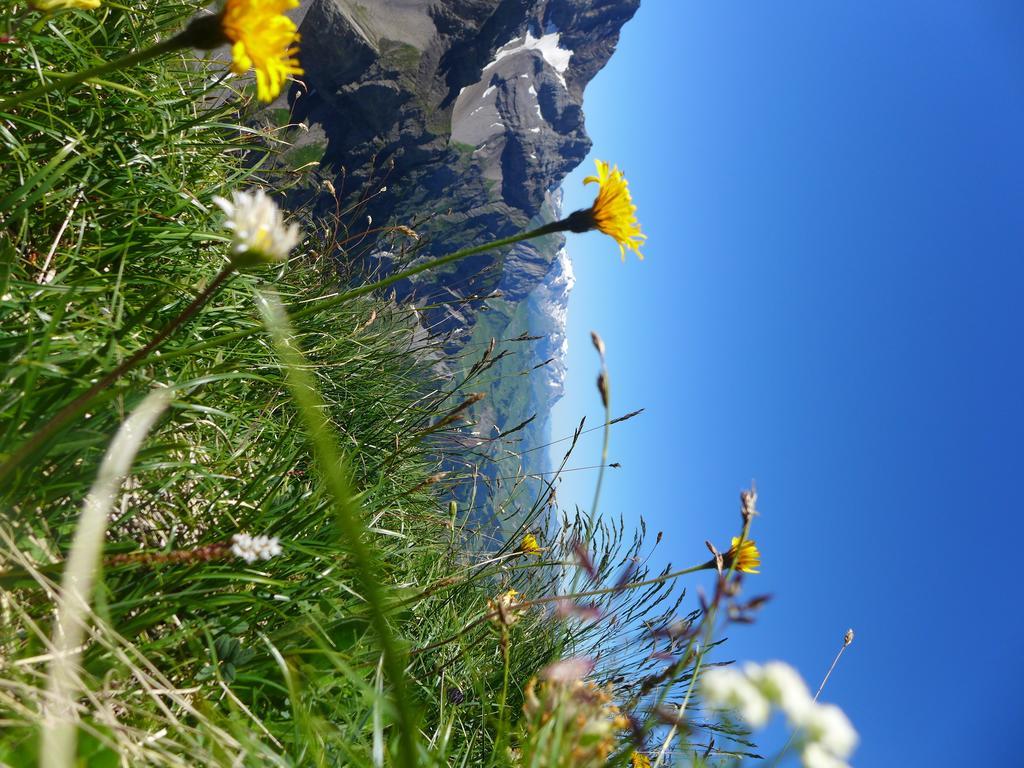 Villa Hami Adelboden Habitación foto